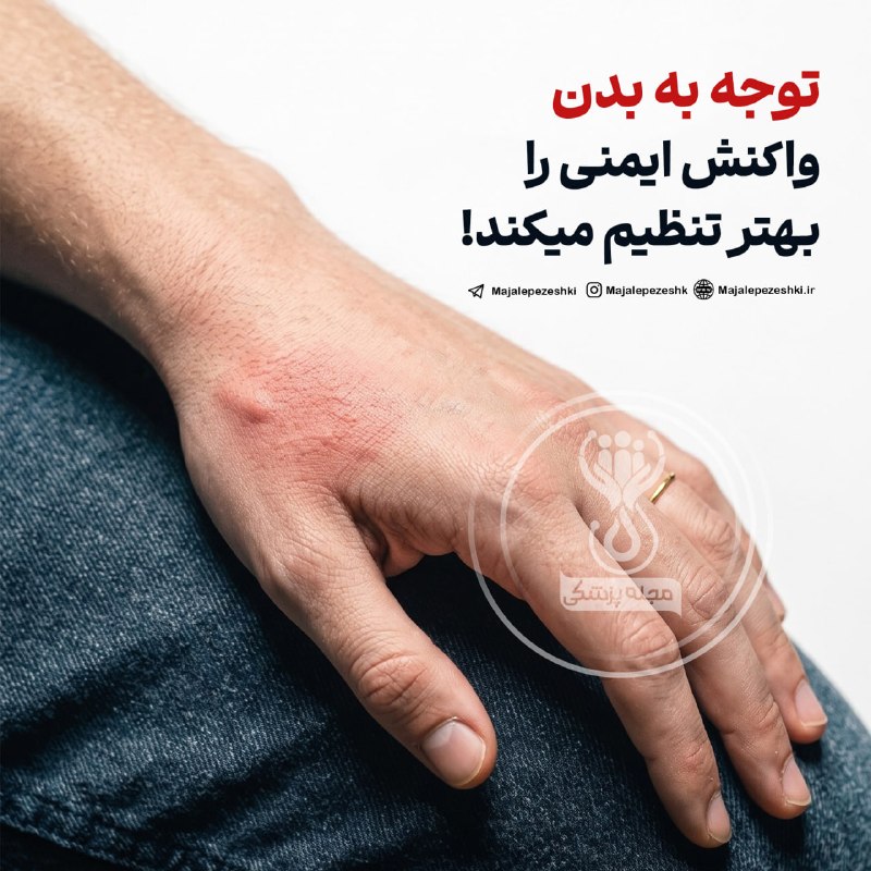 مجله پزشکی: توجه به بدن می‌تواند بر واکنش ایمنی اثر بگذارد!پژوهشی جدید از دانشگاه بار-ایلان نشان می‌دهد تمرکز آگاهانه بر احساسات بدن