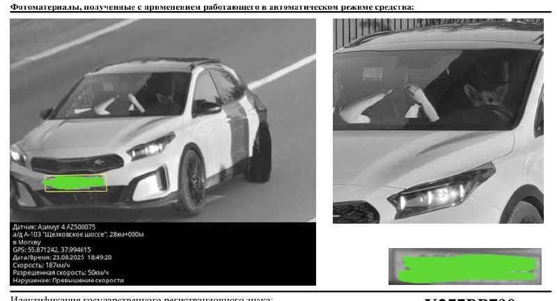 В Москве камера зафиксировала первого Корги-гонщик...