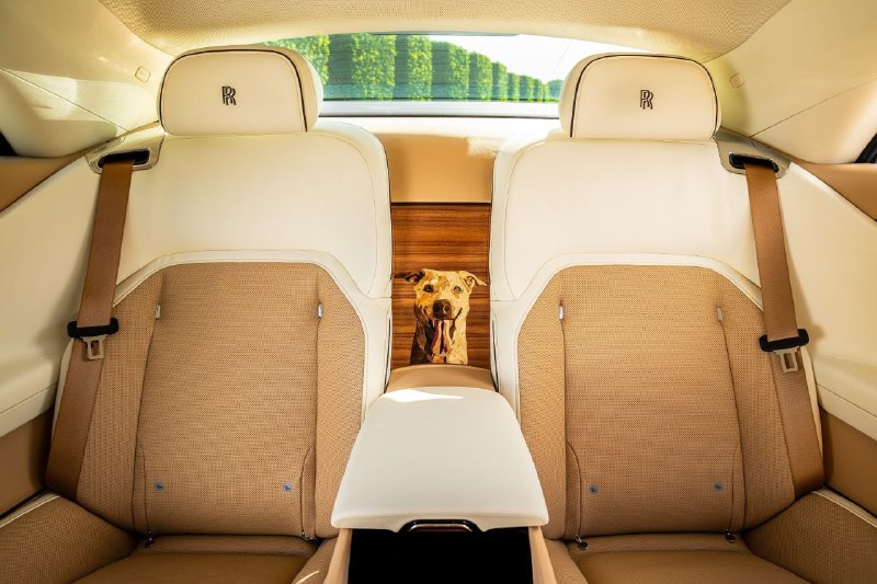 Rolls-Royce посвятил электрокар собаке 6