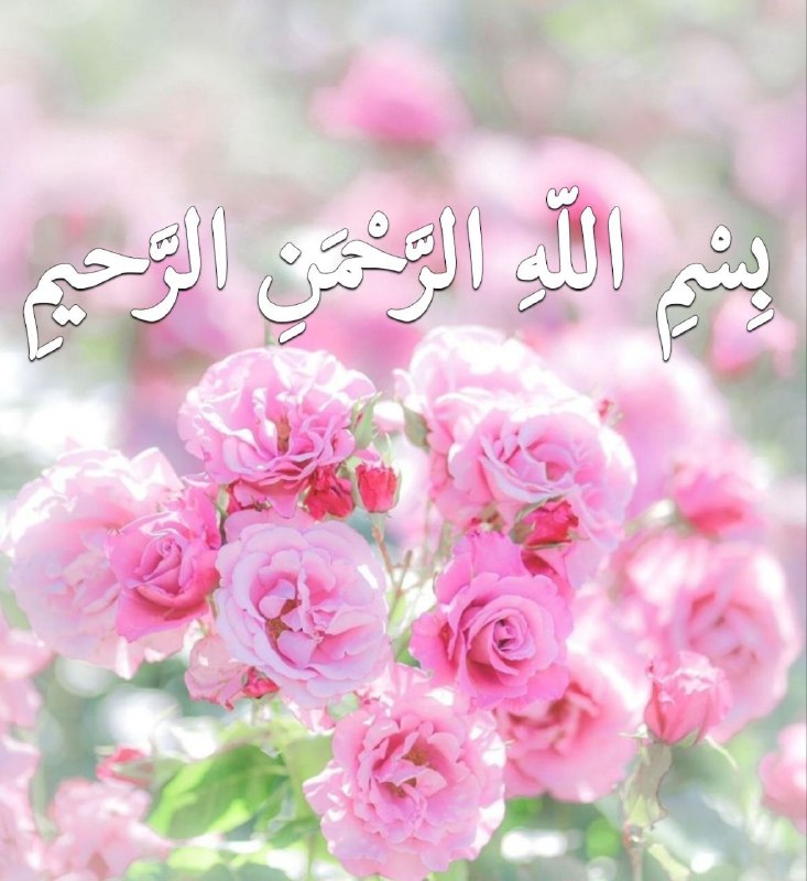 سامانه سیدا: 🪴🤚سـلام امـروز سه شنبـــه صبحتان بخیر و شادی بِسْـم اللَّــهِ الرَّحْمَـنِ الرَّحِیـــمِ الهـــی به امیـــد رحمــــت تو.