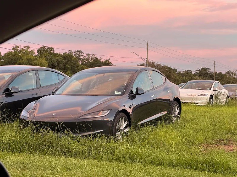 Дилеры Tesla хранят автомобили прямо в поле 2