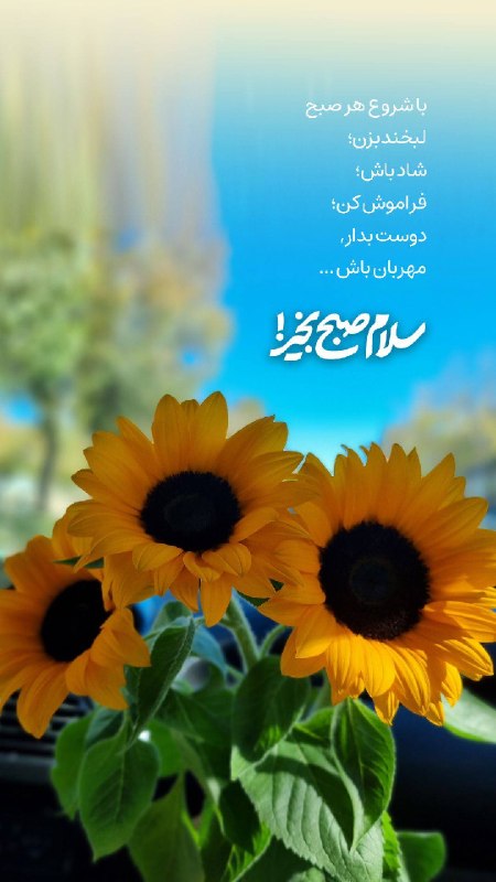 فال و شمع تراپی سحربانو🕯🪄: صبح بخیر به دلهای قشنگتون ☀️🤍امیدوارم امروزتون پر باشه از خبرهای خوب، اتفاقای شیرین و لبخندهایی که از ته دل میاد.الهی ه