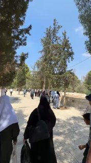 أهالٍ من الداخل يعمّرون المسجد الأقصى
