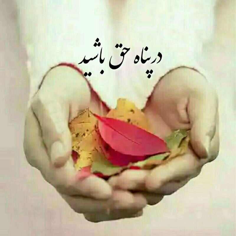 👉🏾به نام زن👈🏾: ✨✨✨✨✨✨✨✨خدا تنها اميديست ڪہوقتے همہ رفتند مےماندوقتے همہ تنهايت گذاشتندمحرمت مے شودوقتے همہ تنبیهت کردند،پناهت مے شود...