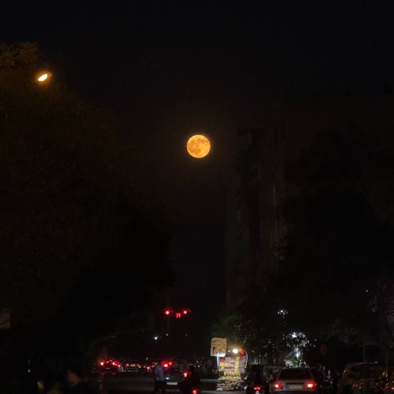 متن طلایی و کلیپ زیبا🖤: شب خوش♥️