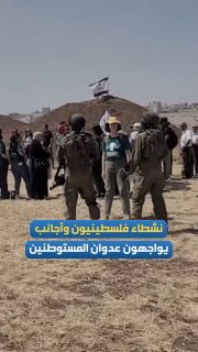 نشطاء يزيلون أعلاماً إسرائيلية عن مبنى استوطاني في بيت ساحور