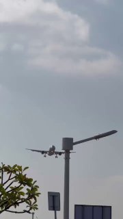 Bird strikes can cause major issues to airliners, as it's thought to have happened in the Jeju Air flight 2216 today's disaster.This is an Air China Airbus A320 striking a flock of birds at Xiamen Gaoqi International Airport.Science and facts💡