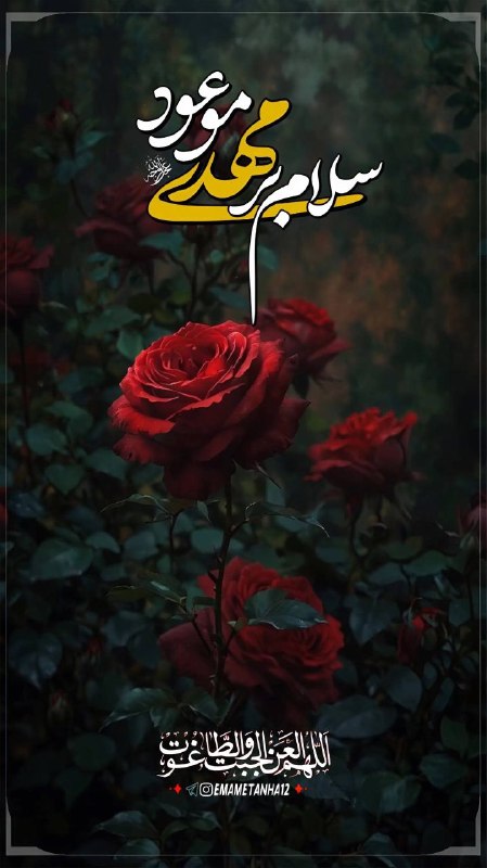 Shieclip: ┈┅ ❁ـ﷽ـ❁ ┅┈🏴 #السلام_علیک_یا_اباصالح‌المهدی🌾 هر روزمان را با سلام بر شما آغاز می‌کنیم!محبوب قلبـــم، سَــلام#لبیک_یا_حسی