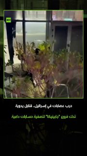ישראל עדה לגל אלימות חסר תקדים, כאשר סניפי רשת בתי הקפה "ג'ביניקה" הפכו לשדה קרב בין משפחות "מוסלי" ו"גרושי…