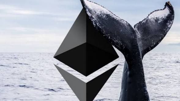 رادیو اقتصاد💯: 🦈 نهنگ اتریوم پس از بیش از 2 سال نگهداری، تمام 6,504 واحد ETH باقی‌مانده خود به ارزش 15.94 میلیون دلار را به بایننس منتق
