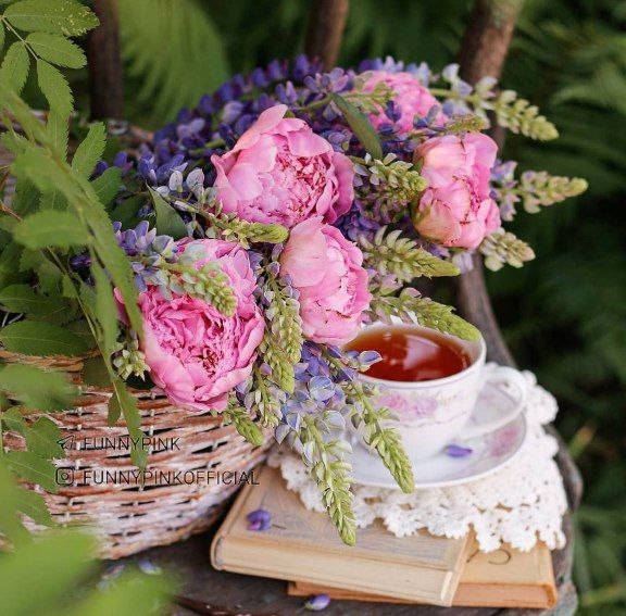 *؛.❤نبض♡عشق❤.؛*: 🍃🌸پاڪترین هـواے دنیـا🍃🌸همـان لحظہ اے ست🍃🌸ڪہ دلهایمان 🍃🌸هـواے همدیگر را میڪند🍃🌸لحظاتتون سـرشـاراز 🍃🌸آرامش و حـال دلتـون خ