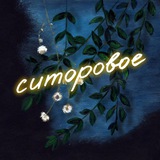 ✨ситоровое✨