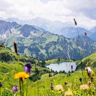 Corona Rebellen „ALLGÄU“