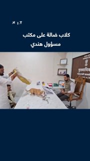 An extraordinary protest in India. Demonstrators release stray dogs inside the office of a municipal official in the state of Maharashtra, protesting what they described as the "failure of the authorities" to deal with its spread and the increase in biting incidents in the area.