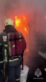 В Нижнем Новгороде сгорел питомник чихуахуа, сообщает МЧС. Хозяйка питомника рассказала, что в пожаре погибли 200 собак.По данным спасателей, пожар площадью в 50 квадратных метров произошел в надворной постройке, которую использовали для разведения собак.П