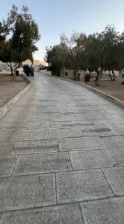 לפני זמן קצר..