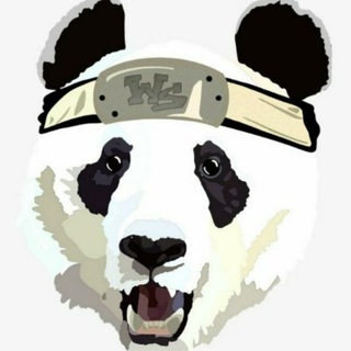 Team Warrior Spirit🐼 Telegram Group Link