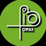 Биотопай! 🐸🌿 Экскурсии и экспедиции с биологами