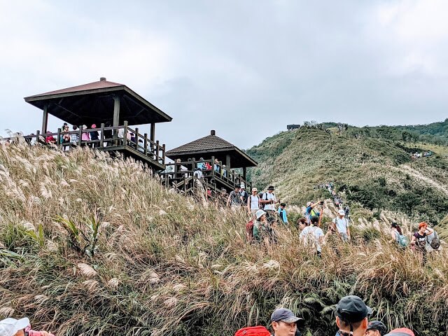 [台灣] 2020 草嶺古道  福隆->大里路線交通全攻略