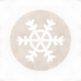SnowBug