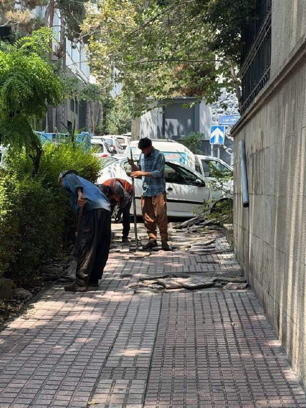 شمیران ‌۲۴: 🔻آغاز اجرای یکی دیگر از پروژه های طرح من شهردارم در منطقه یک / عملیات پیاده روسازی در محله زعفرانیه در حال اجرا است🔹مجید