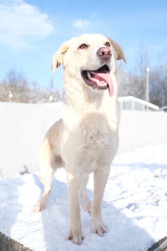 Изображение 3