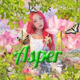 [ 🍵 ] - ᗩ𝓈ℙɆ尺 | 𝐍𝐀𝐓(𝐔)𝐑𝐄