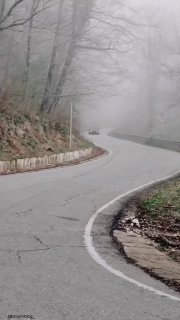 https://t.me/bmw_mpower_club