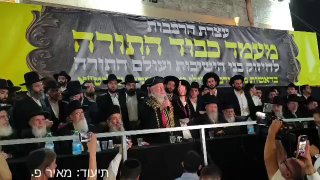 אלי הירשמן