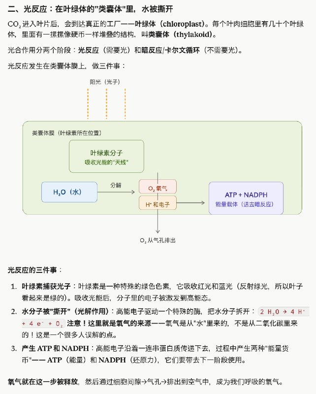 Claude 是真的好用，这也是官方敢随便封号的原因，有底气，你不用，有的是人用