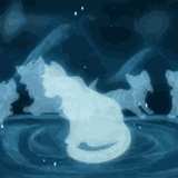 𝓘𝓷𝓯𝓸 𝓬𝓱𝓪𝓷𝓷𝓮𝓵