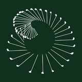 GOLF CODE