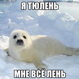 Аиша старая ссылка что прости