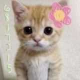 ⊹ ˚ ˖ ƈყųıɛ