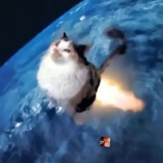 Telegram profile photo for Кай жив / рест люти