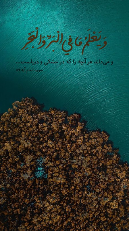 •شـھـیـدبابڪنورے•: ••﴿وَيَعْلَمُمَافِيالْبَرِّوَالْبَحْرِ﴾ومیداندهرآنچهراکهدرخشکیودریاست!🌊✨سورهانعامآیه۵۹+خداییکهازهمهچیزخبرد