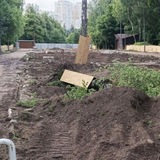 Парк Кузьминки: Уничтожение природы. Вредительское благоустройство.