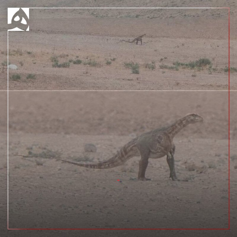 همشهری: 📷مشاهده دایناسور در مناطق بیابانی خراسان رضوی تکذیب شد🔹 در پی انتشار تصاویری در شبکههای اجتماعی مبنی بر مشاهدهٔ یک داین