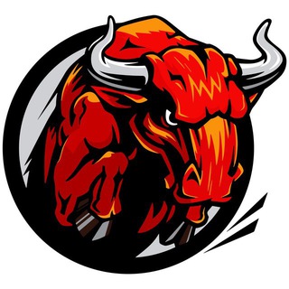 Bull Academy 🇹🇷 Telegram Group Link