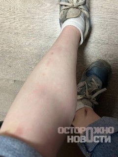 Девушку избили в отделе полиции в Королёве, оскорбляли и угрожали сексуализированным насилием. Об этом сама пострадавшая рассказала «Осторожно, новости».Вечером 24 июля 19-летняя Вероника возвращалась с тренировки домой и зашла за продуктами в «Пятёрочку».