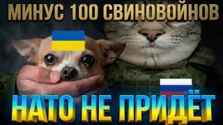 יום ראשון 100 בשר טחון מוזיקה | וידאו LUGANSK מחובר | מקסימום |