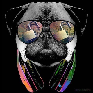 ETHICAL HACKERS Telegram Group Link