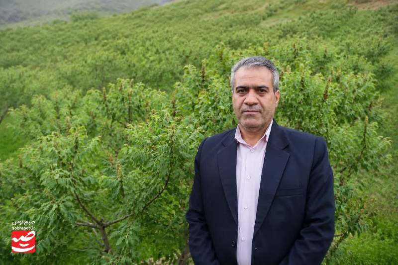 صبح توس اخبار خراسان رضوی: 🔔 برداشت ۴۷۲ تن سماق در گناباد آغاز شد🔹 مدیر جهاد کشاورزی گناباد گفت: با آغاز برداشت سماق از یک هزار و ۵۲۰ هکتار باغات، 