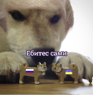 «Пусть они разберутся»Так сказал Трамп о Путине и Зеленском, комментируя предложение о личной встрече для завершения конфликта. Он заявил, что «подвёл их к этой ситуации» и дальше лидеры будут «разбираться» сами.
