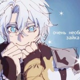 где помело