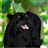 𑁍Печера 𝒪черетки🐆