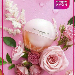 Rohila PARFUM | Optom