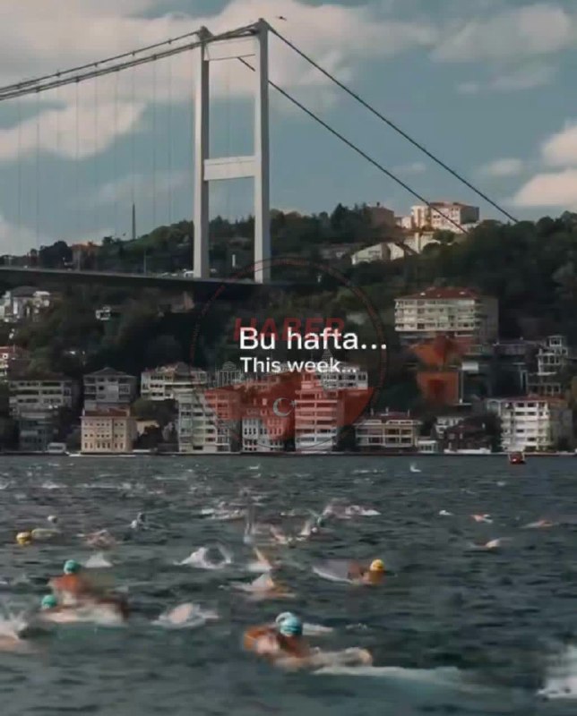 Türkiye Haber: 🏊‍♀️🌊 مسابقه شنای بین‌قاره‌ای بسفر؛ یکشنبه ۲۳ آگوست!🤿اگه یکشنبه قصد رفت‌وآمد اطراف بسفر، بشیکتاش، اورتاکوی یا کوروچشمه ر