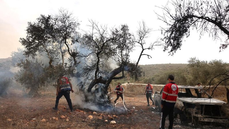 An American journalist was injured during an attack by Israeli settlers on an olive picker in the West Bank