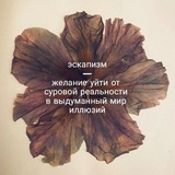 🔆 Кладовка [off]